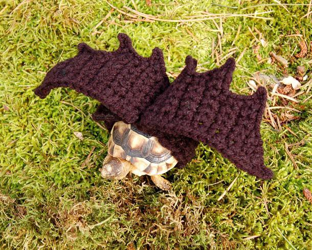 Tortue-vetement-laine-pattern-MossyTortoise-11