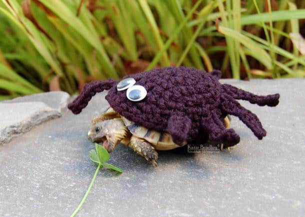 Tortue-vetement-laine-pattern-MossyTortoise-15