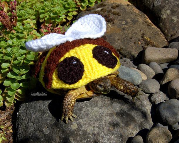 Tortue-vetement-laine-pattern-MossyTortoise-6