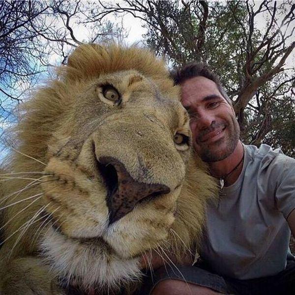 animals_selfie_03