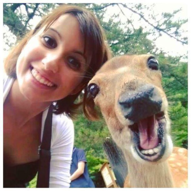 animals_selfie_05