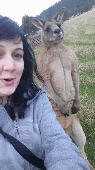 animals_selfie_14