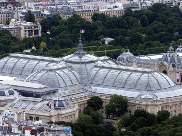 Le toit du Grand Palais à Paris (juillet 2013) (AFP PHOTO/THOMAS SAMSON)