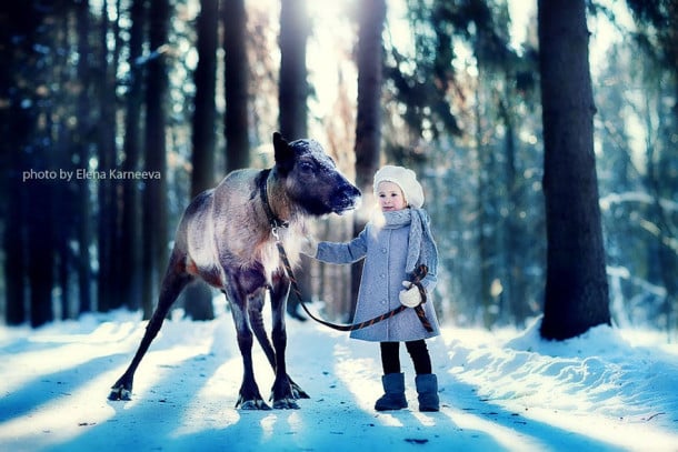 animal-children-photography-elena-karneeva-212__880
