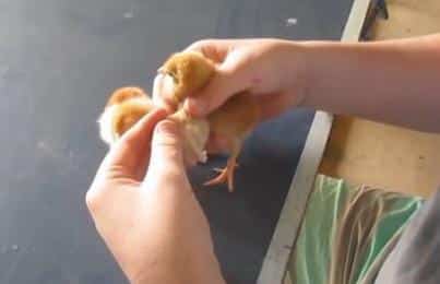 ce-travail-est-paye-4-500-euros-par-mois-mais-personne-ne-veut-le-faire