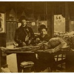 dissection