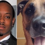 chien