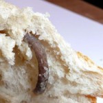 sandwich