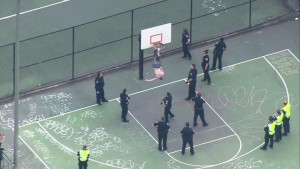 basket