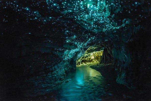 Glowworms Cave - Nouvelle Zélande