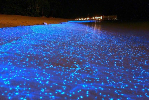 Glowing Beach - Maldives