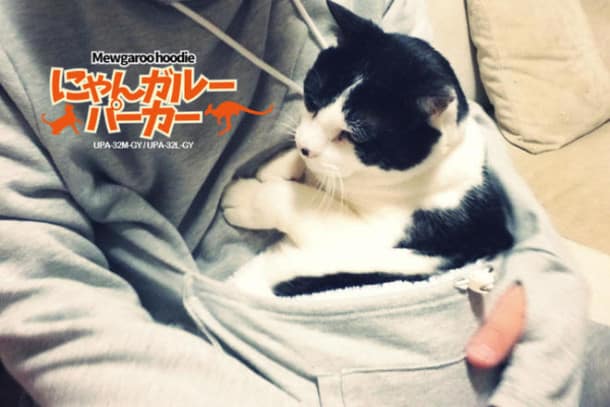 fb0f5801479988c8c45e1aa9e3ec7a30_650x-L