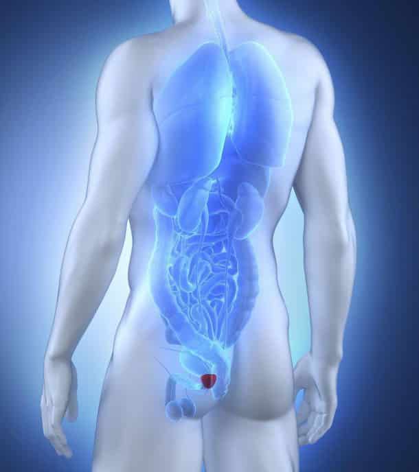 prostate_5326729