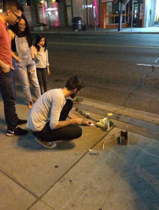 dead-raccoon-memorial-shrine-mourning-deadraccoonto-toronto-12