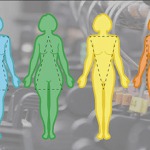 morphotype