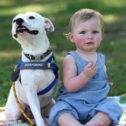 baby-and-dog