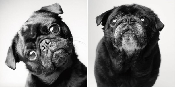 Fred : 2 ans et 10 ans