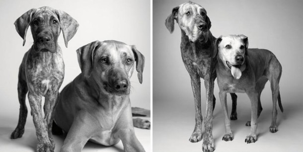 Kayden et Brodie : 11 mois et 5 ans / 7 et 12 ans
