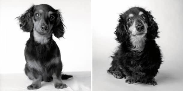 Lily : 8 mois et 15 ans
