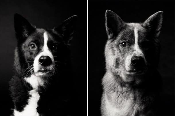 Maddy : 5 ans et 10 ans