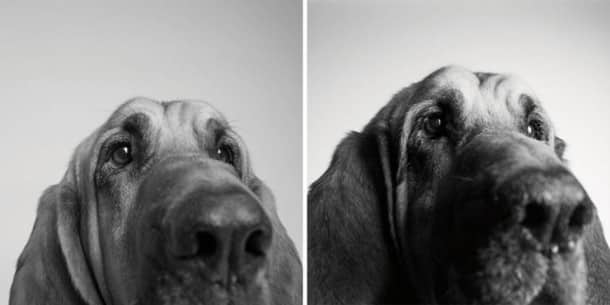 Copper : 3 ans et 10 ans