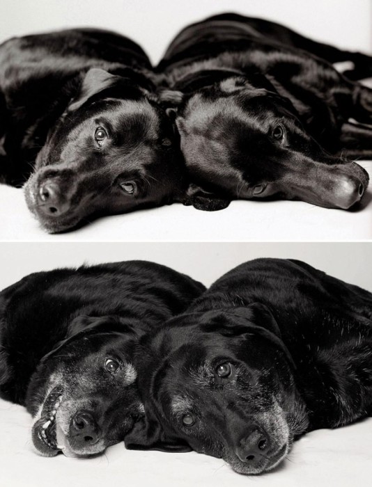 Maddie et Ellie : 7 et 6 ans / 14 et 13 ans