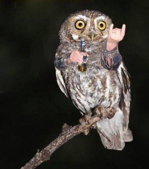 tumblr_inline_ns5i82HW701r8hym2_540