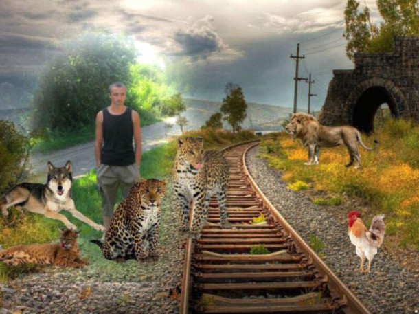 tumblr_ns9arplvDR1r539hzo1_500