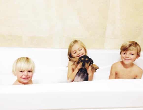 Insta Jessica Shyba111