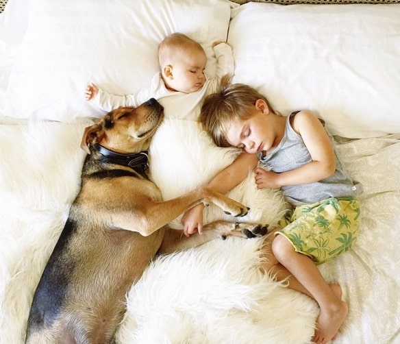 Insta Jessica Shyba13