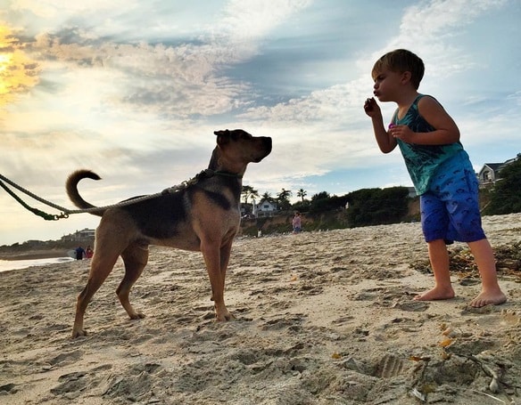 Insta Jessica Shyba4