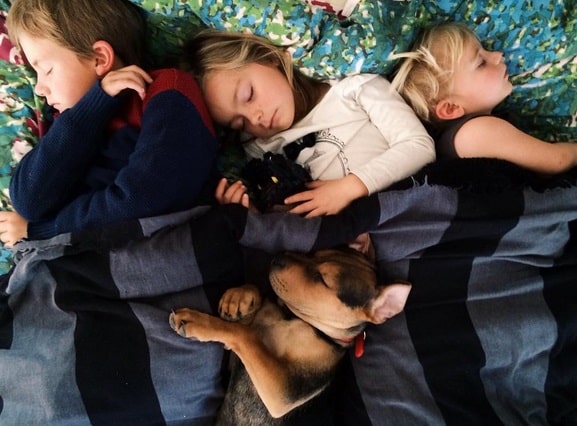 Insta Jessica Shyba8