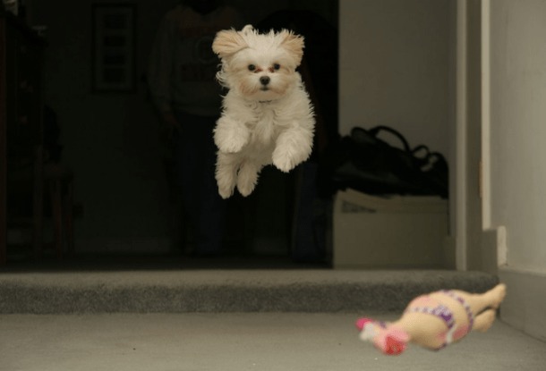 Screen-Shot-2013-05-17-at-10.30.57-AM