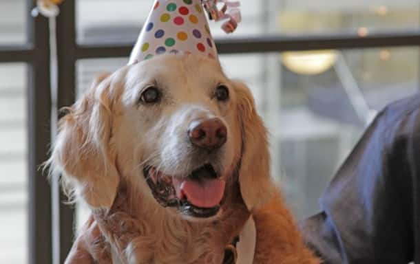birthday-portrait
