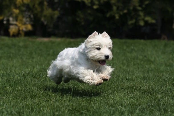 shutterstock_28640059