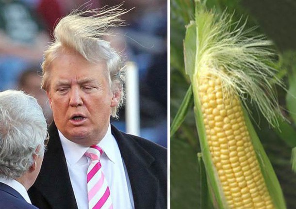 similar_things_funny_13