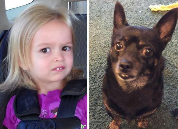 similar_things_funny_20