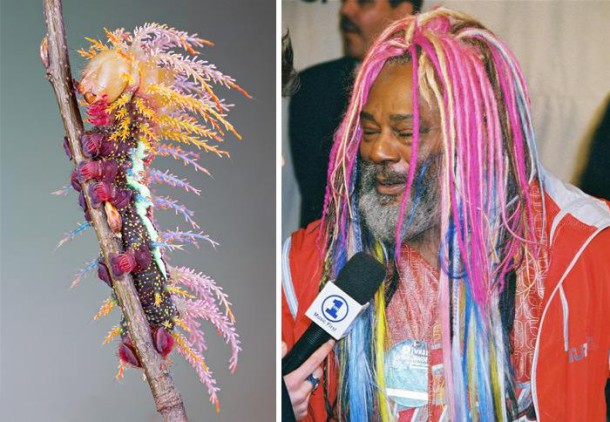 similar_things_funny_24