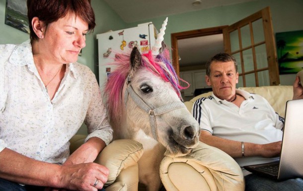 sipa-rex40396103-000004