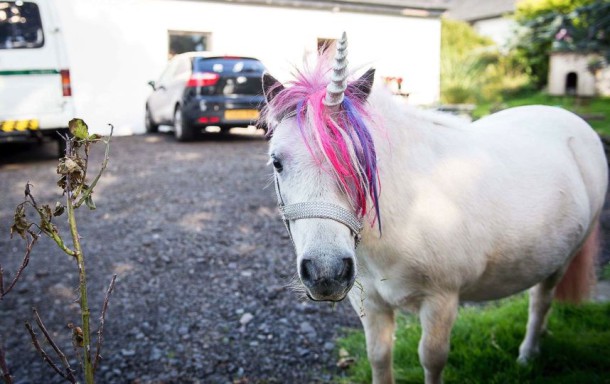 sipa-rex40396103-000005