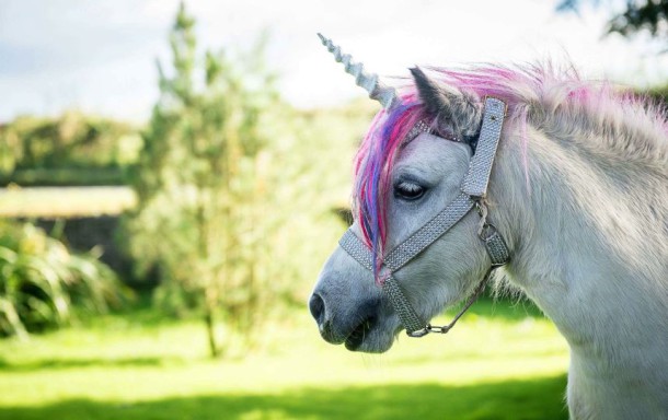 sipa-rex40396103-000009