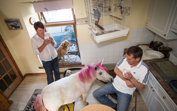 sipa-rex40396103-000011