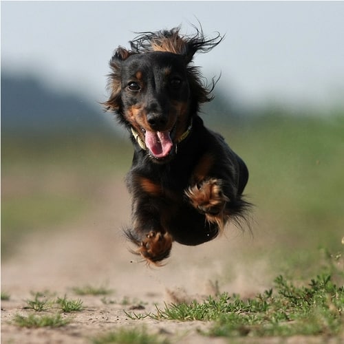 tumblrme5xpdxhgv1qfbxluo1500