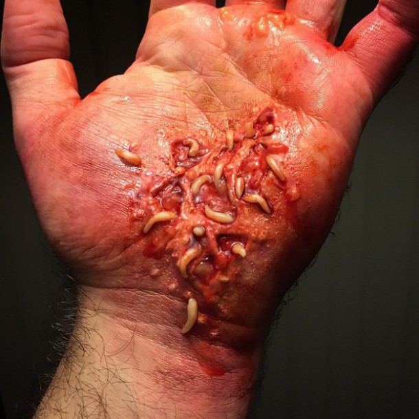 10963904_1581219192114559_416744729_n