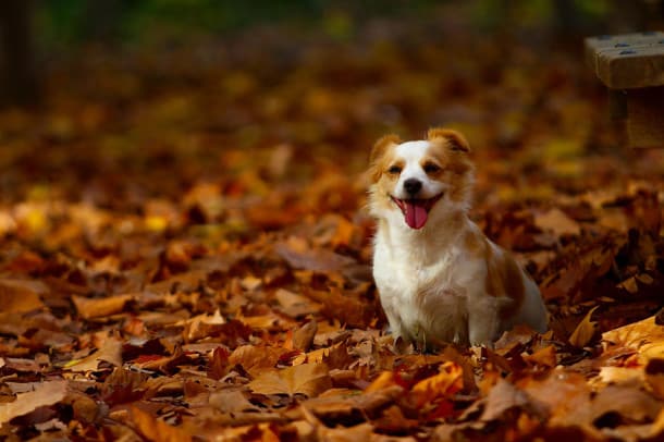 12_fuentesmarques_0021__880