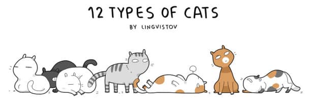 cattypes-001__880