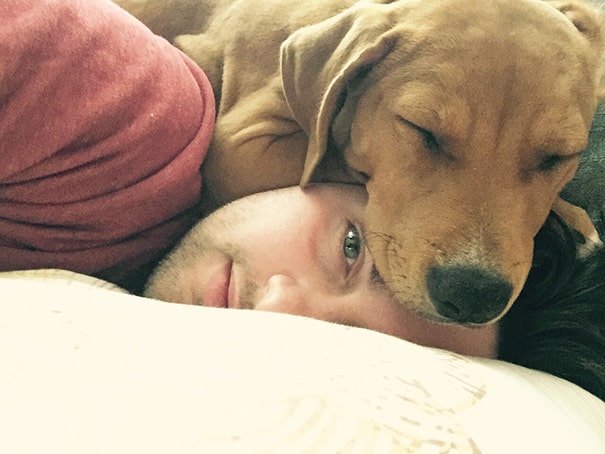 funny-dogs-violate-personal-space-411__605