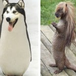 Photoshop