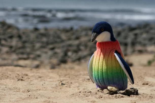 the-penguin-fondation-association-australienne-tricote-pulls-manchots-victimes-deversements-d