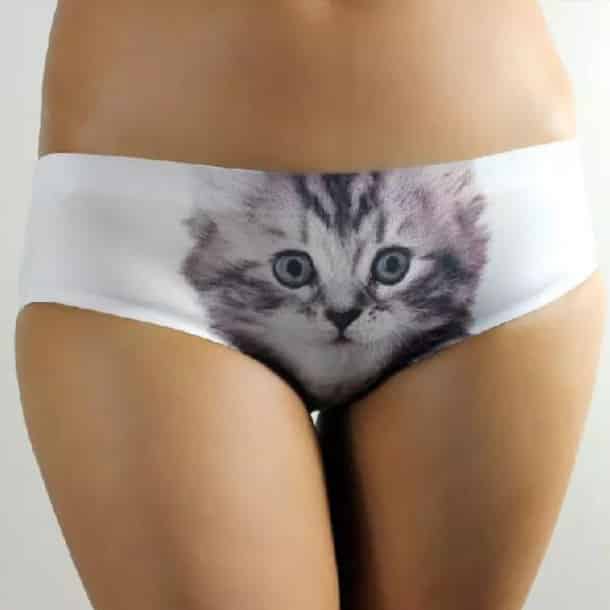 2015-hot-sale-Pussycat-panties-sexy-briefs-panty-cute-font-b-cat-b-font-font-b
